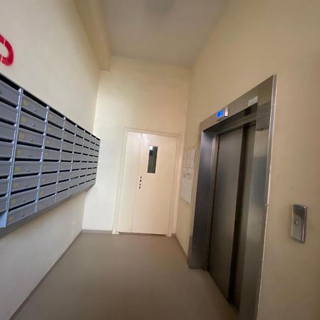 All New Apartment With Best View Near Shopping Malldova Chisinau Eksteriør bilde